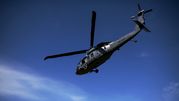 black hawk