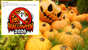 Ocieszyn odwołuje Halloween