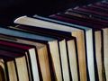 Polskie bestsellery literackie 