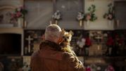 Mężczyzna w brązowej kurtce trzyma małego psa, stoi przy grobowcach z kwiatami.