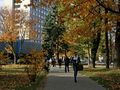 kampus, studenci