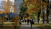 kampus, studenci