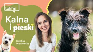 Jakie są kundelki?
