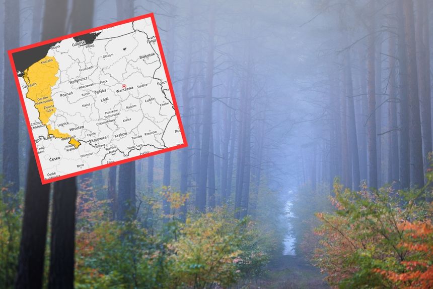 Mgły w Polsce