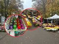 Wszystkich Świętych - sprzedawcy