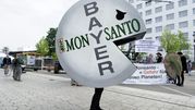 Osoba w kostiumie symbolizującym firmę Bayer/Monsanto, protestująca na ulicy. W tle plakaty.