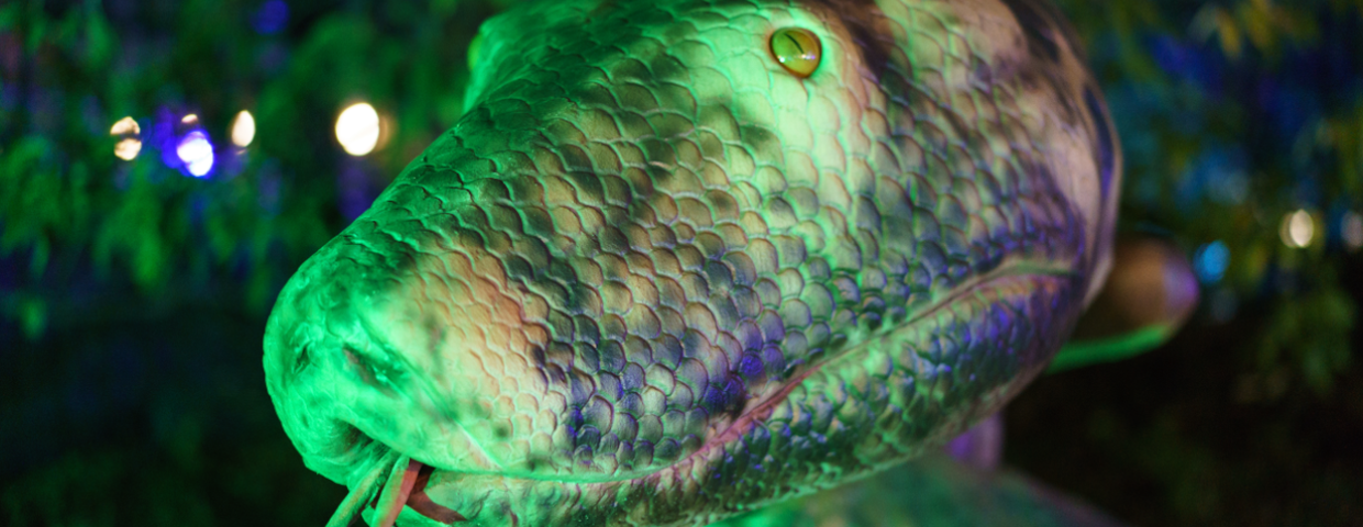 Titanoboa to największy wąż w historii świata