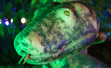 Titanoboa to największy wąż w historii świata