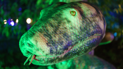 Titanoboa to największy wąż w historii świata