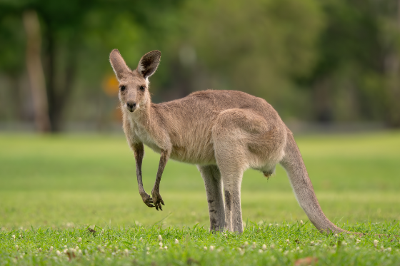 David Havel/Shutterstock