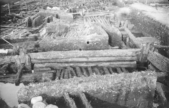 Narodowe Archiwum Cyfrowe/domena publiczna